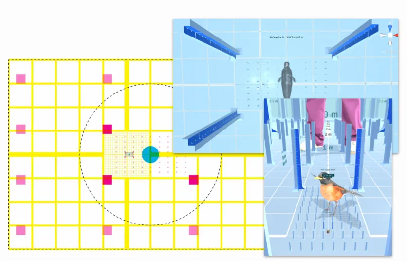 Forest environment layout diagram