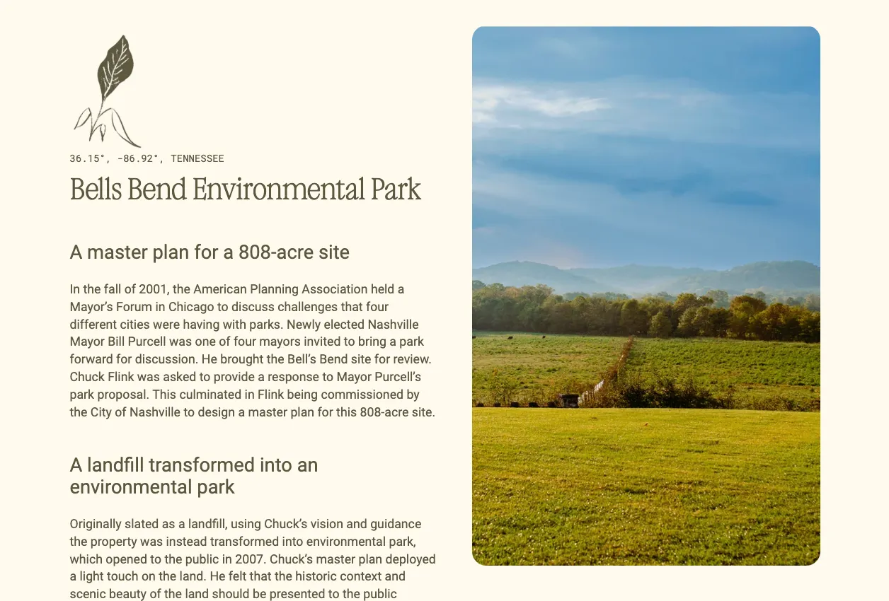 Botanical illustration for project four